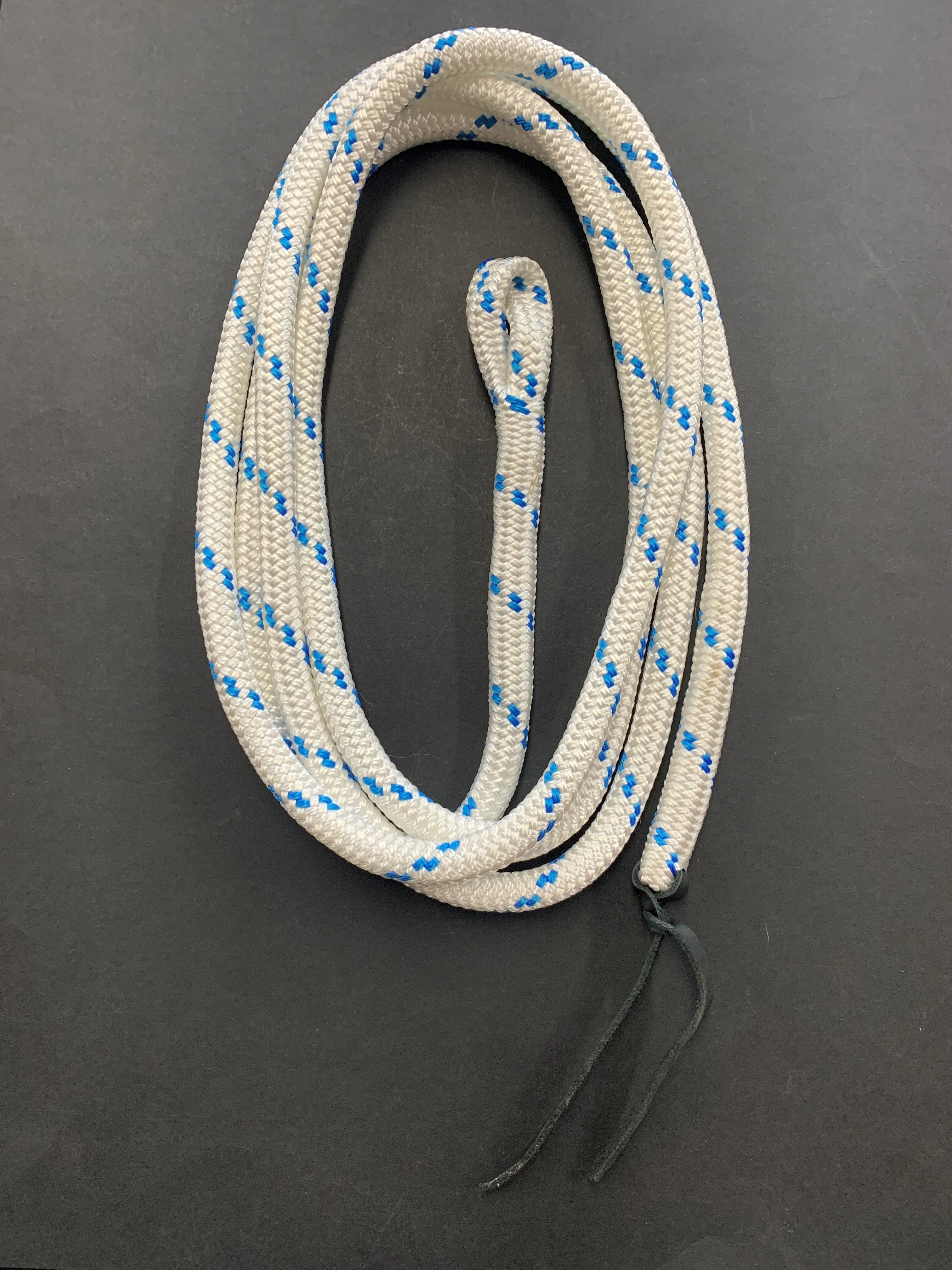 12ft Training Lead