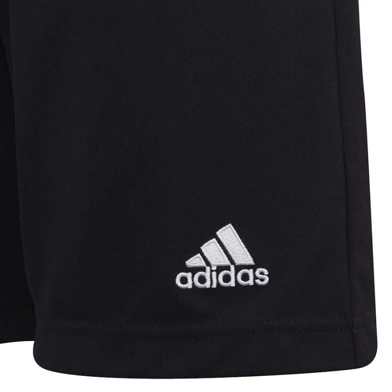 Adidas Junior Entrada 22 Training Shorts - Black