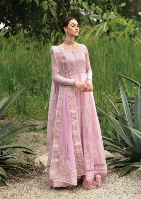 Gulaal Chiffon Suit