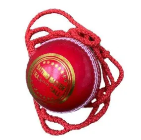 HM45 Training Cricket Ball